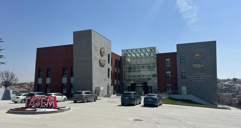 Tamamlanan yapı