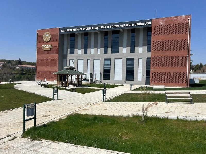 Tamamlanan yapı